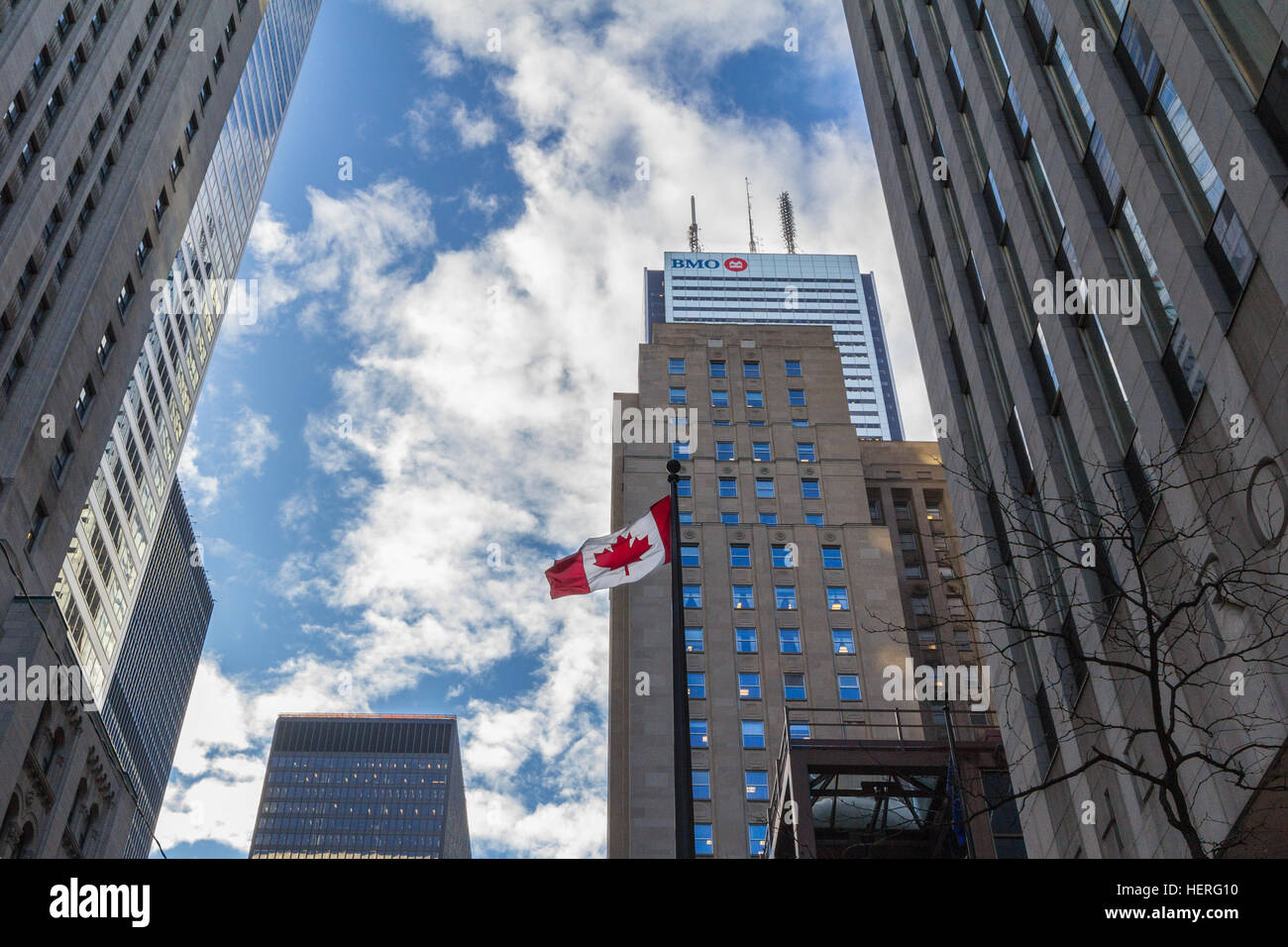 Banque de Montréal (BMO) Bâtiment principal à Toronto, Ontario, Canada Banque D'Images