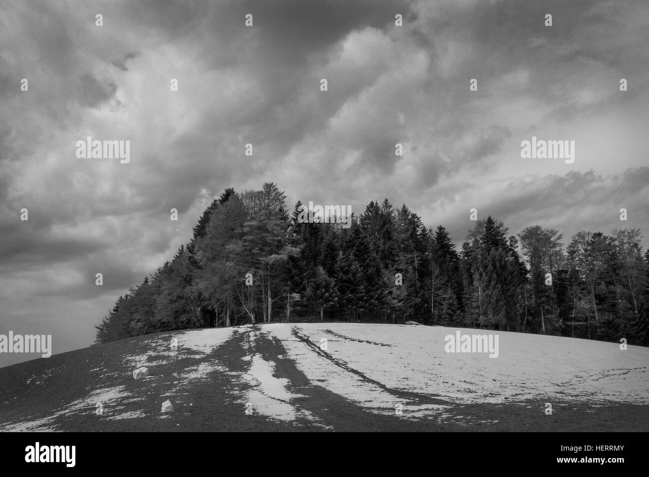 Photographie en noir et blanc des nuages sur la neige avec des sapins en premier plan. Banque D'Images
