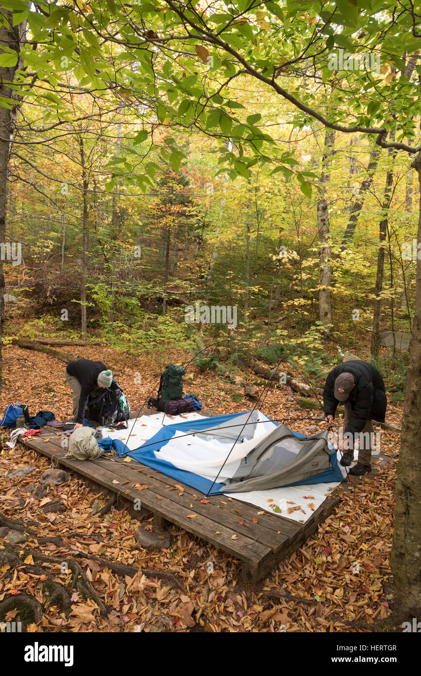 Backpackers mise en place d'une tente sur une plate-forme de tente à Little Rock dans l'étang Green Mountain National Forest, Vermont. Banque D'Images