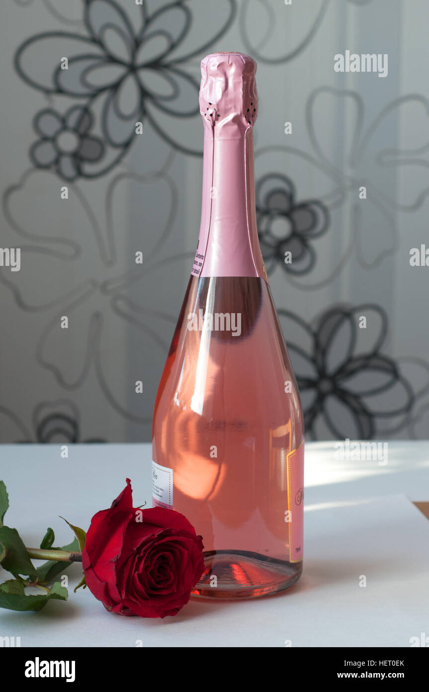 Un champagne rose et une rose sur fond blanc Banque D'Images