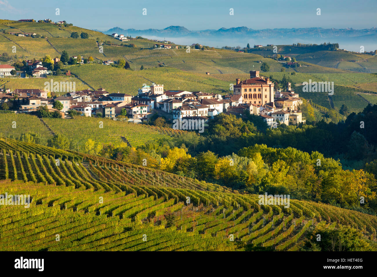 L'aube sur les vignobles et la ville de Barolo, Piemonte, Italie Banque D'Images