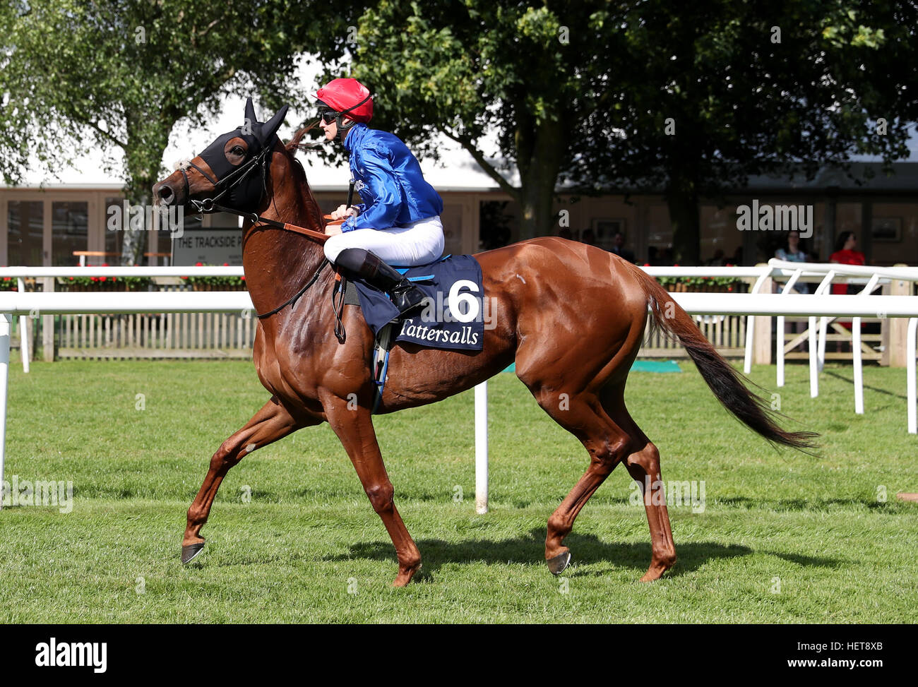 De très spécial monté par James McDonald va à poster Banque D'Images