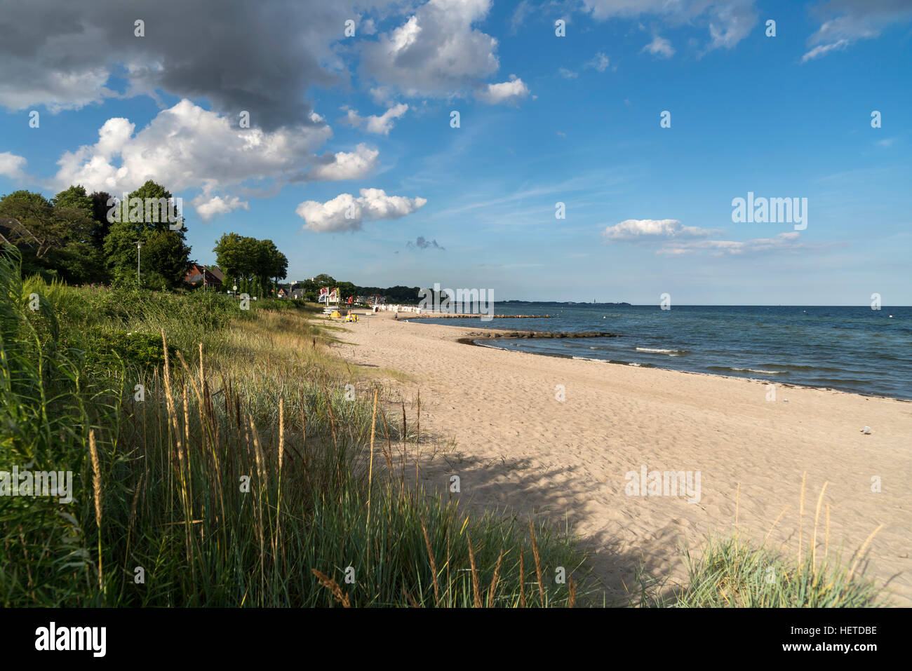 Baltic Beach près de Sierksdorf, baie de Lübeck, Schleswig-Holstein, Allemagne Banque D'Images