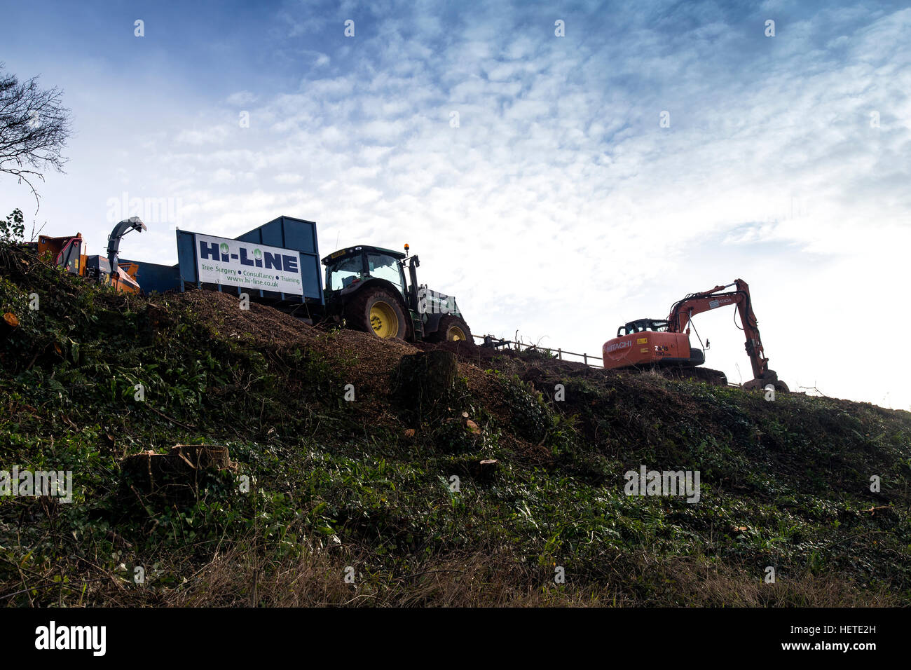 Bonjour line tree services,arbre, élagage, coupe, élagage, tronçonneuse, travaillant, de chantier, d'un membre, a vu, de la direction générale, bricoleur, personnes, bûcheron, br Banque D'Images