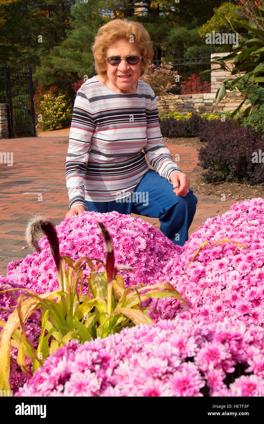 Les mamans en irlandais Jardin, Wickham Park, Manchester, New York Banque D'Images