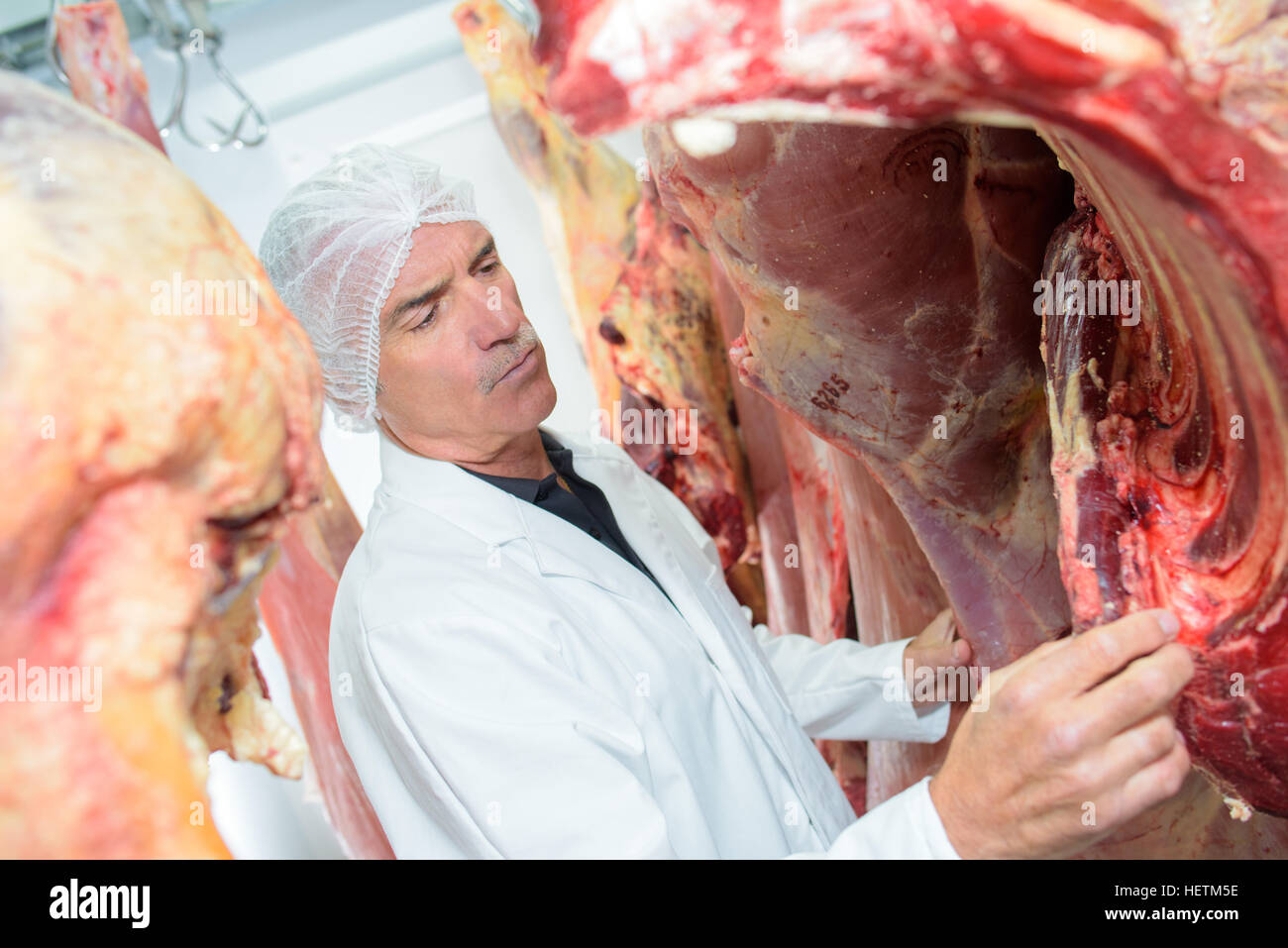 À la boucherie à côtes sur carcasse animale Banque D'Images