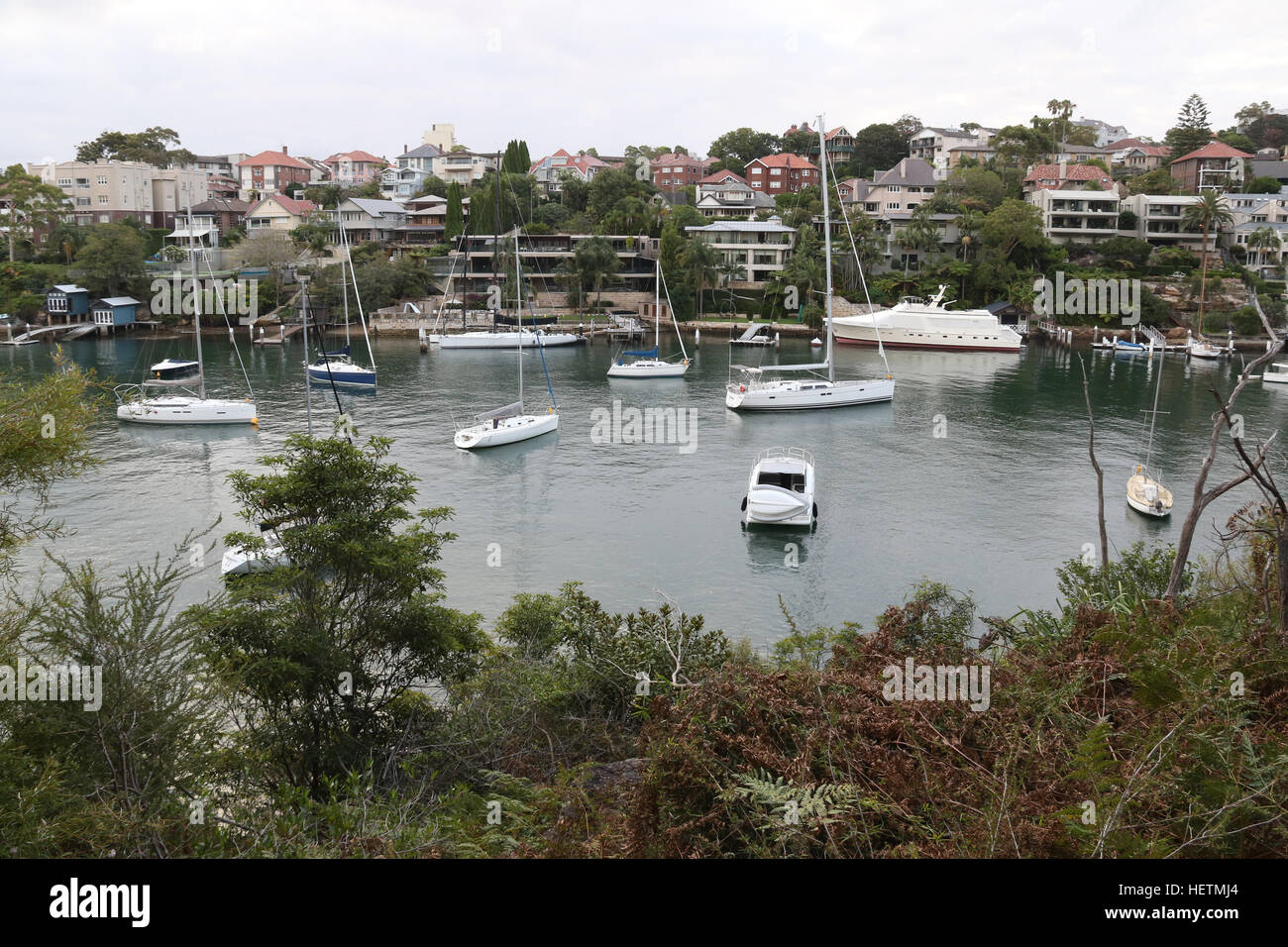 Vue vers Mosman Bay et maisons à Kurraba Cremorne Point à partir de l'estran marcher sur le point sur la basse côte nord de Sydney. Banque D'Images