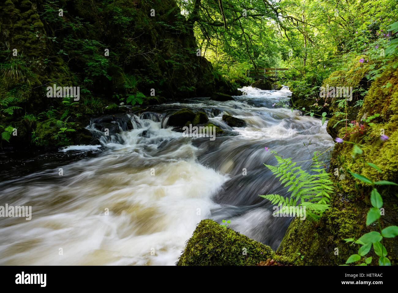 Ness Glen, rivière Doon, Ayrshire, Scotland Banque D'Images