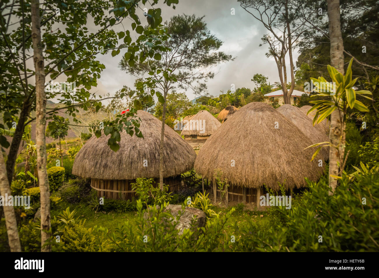 Maisons traditionnelles avec des toits de paille dans village de Dani à Wamena, Papouasie, Indonésie. Banque D'Images