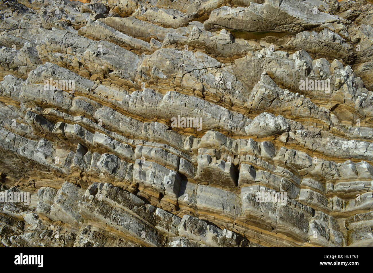 Libre de Miguelito, schiste de Montana de Oro State Park, Californie, Los Osos Banque D'Images