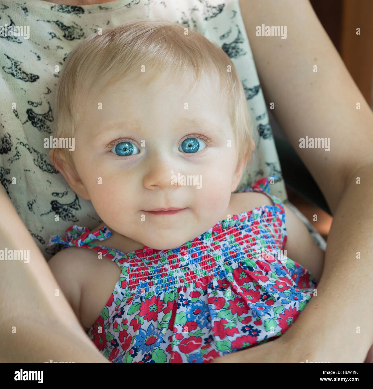 Portrait de petite fille en mère lap looking at camera Banque D'Images
