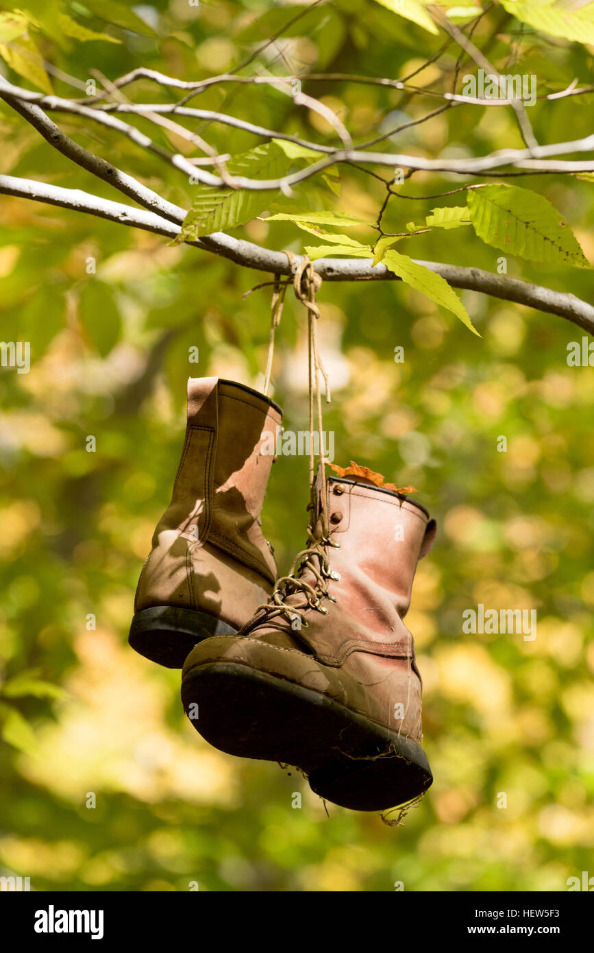 Abandonded paire de bottes de travail suspendu à une branche d'arbre en montagnes Vertes du Vermont. Banque D'Images