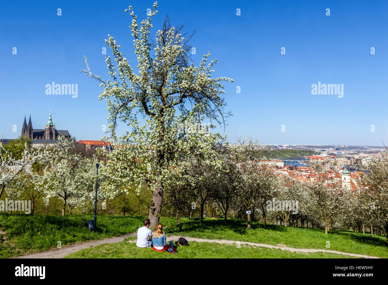 Panorama printanier du château de Prague vue romantique depuis Petrin Hill Arbre à fleurs de Prague République tchèque printemps Banque D'Images