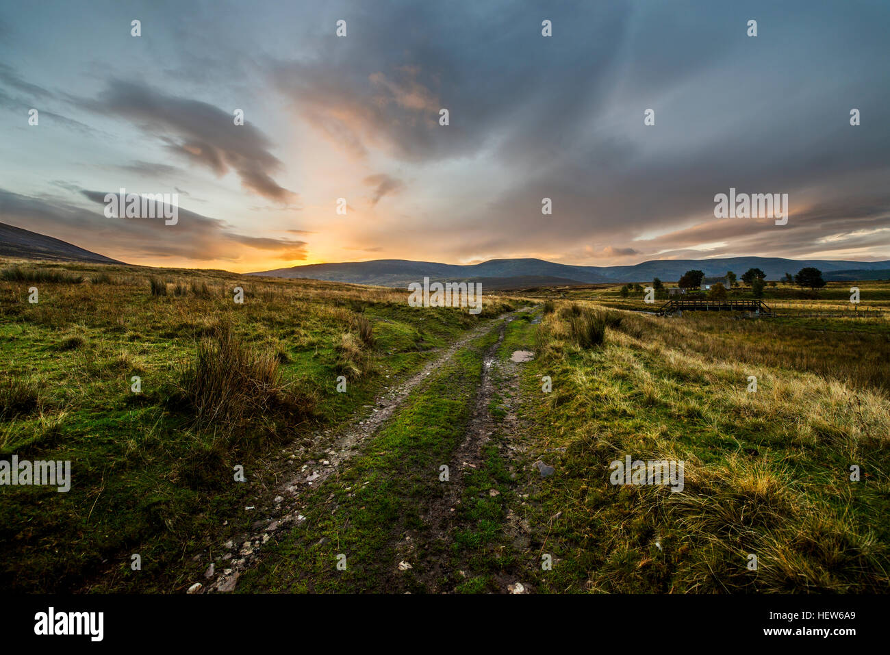 Chemin vers le lever du soleil dans le Parc National de Cairngorms, en Écosse. Banque D'Images