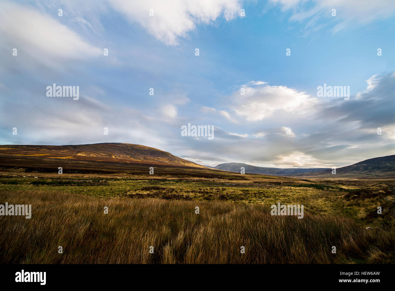 Aube sur Glenlivet, Parc National de Cairngorms, en Écosse. Banque D'Images