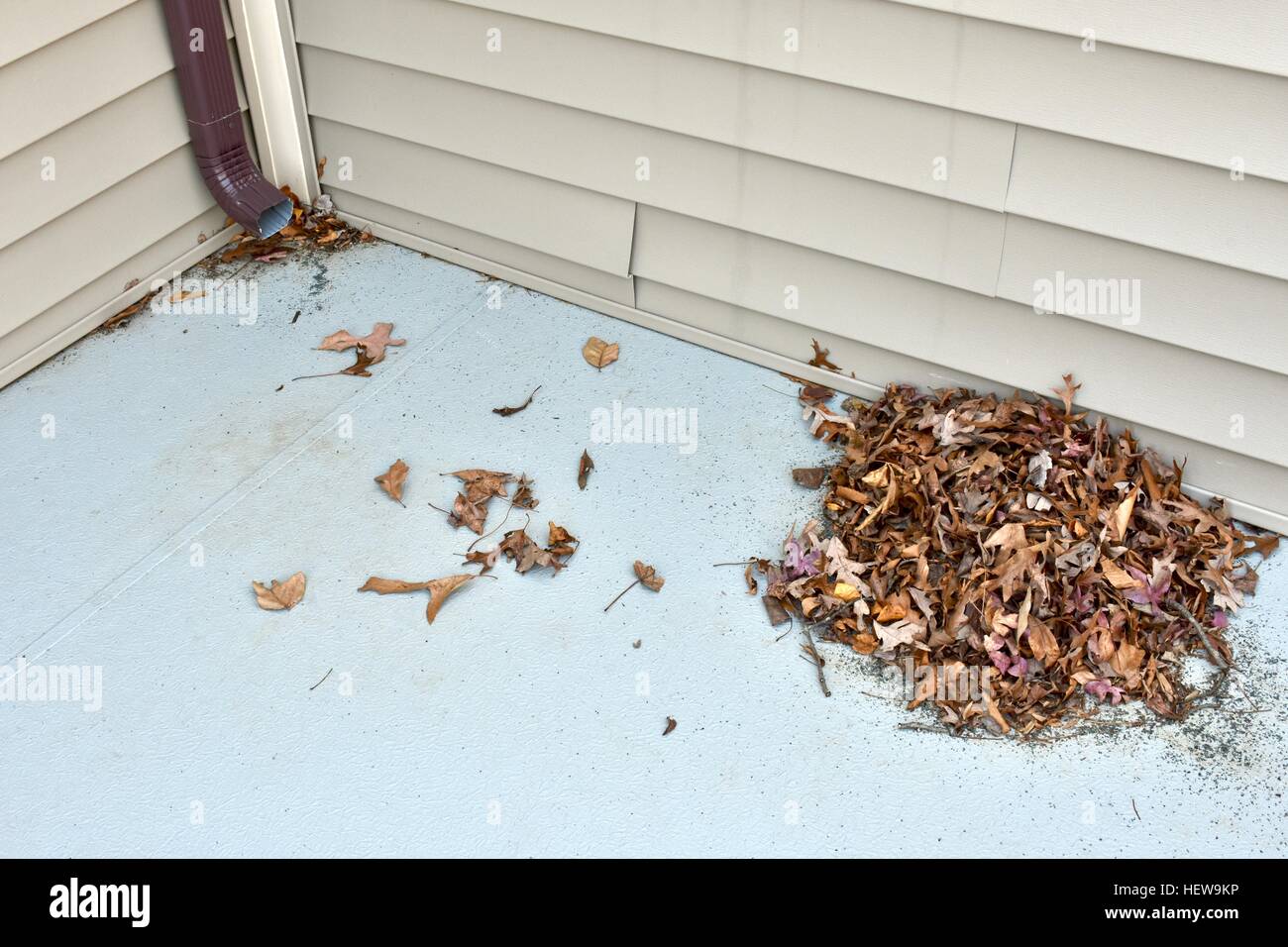 Un tas de feuilles portant sur le toit d'une maison à côté de la gouttière Banque D'Images