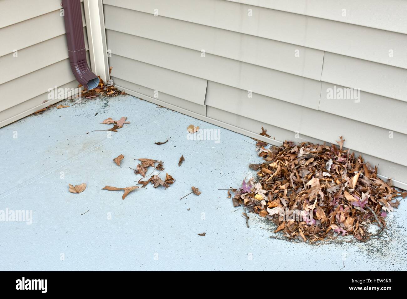 Un tas de feuilles portant sur le toit d'une maison à côté de la gouttière Banque D'Images
