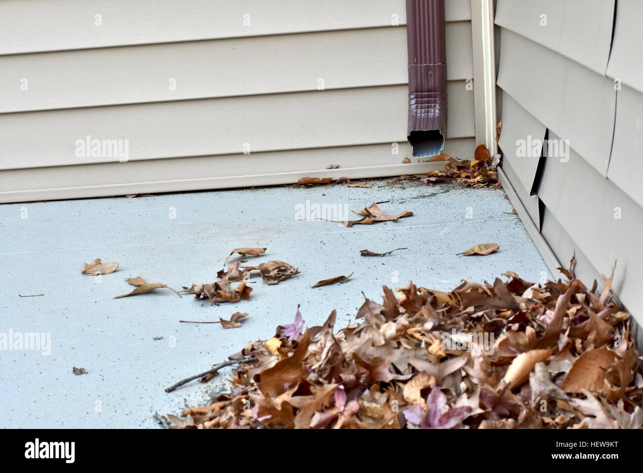 Un tas de feuilles portant sur le toit d'une maison à côté de la gouttière Banque D'Images
