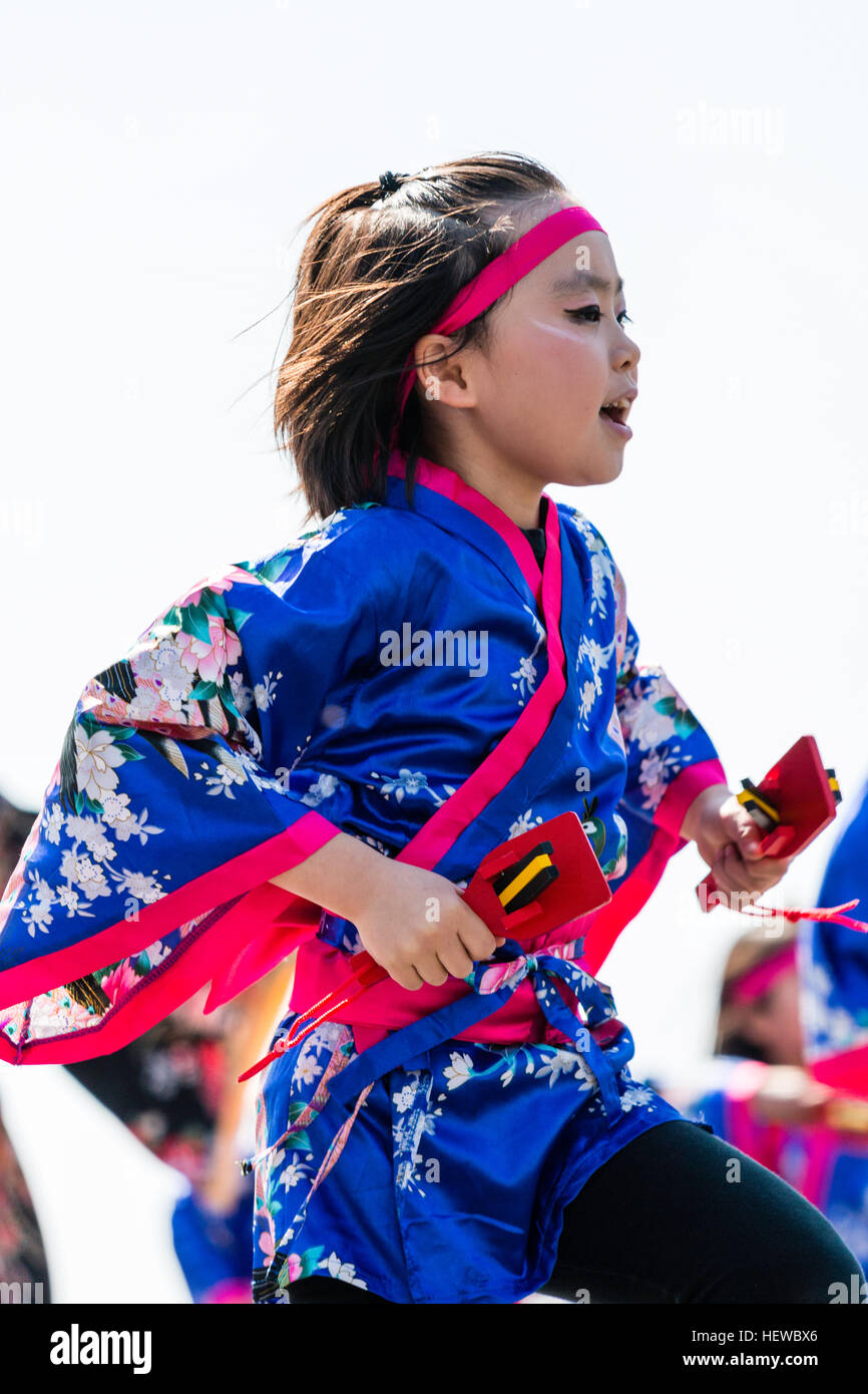 Yosakoi Festival japonais. Enfant, jeune fille, la danse dans le cadre d'équipe, porte des yukata traditionnel veste, holding naruko, battants en bois, dans chaque main. Banque D'Images