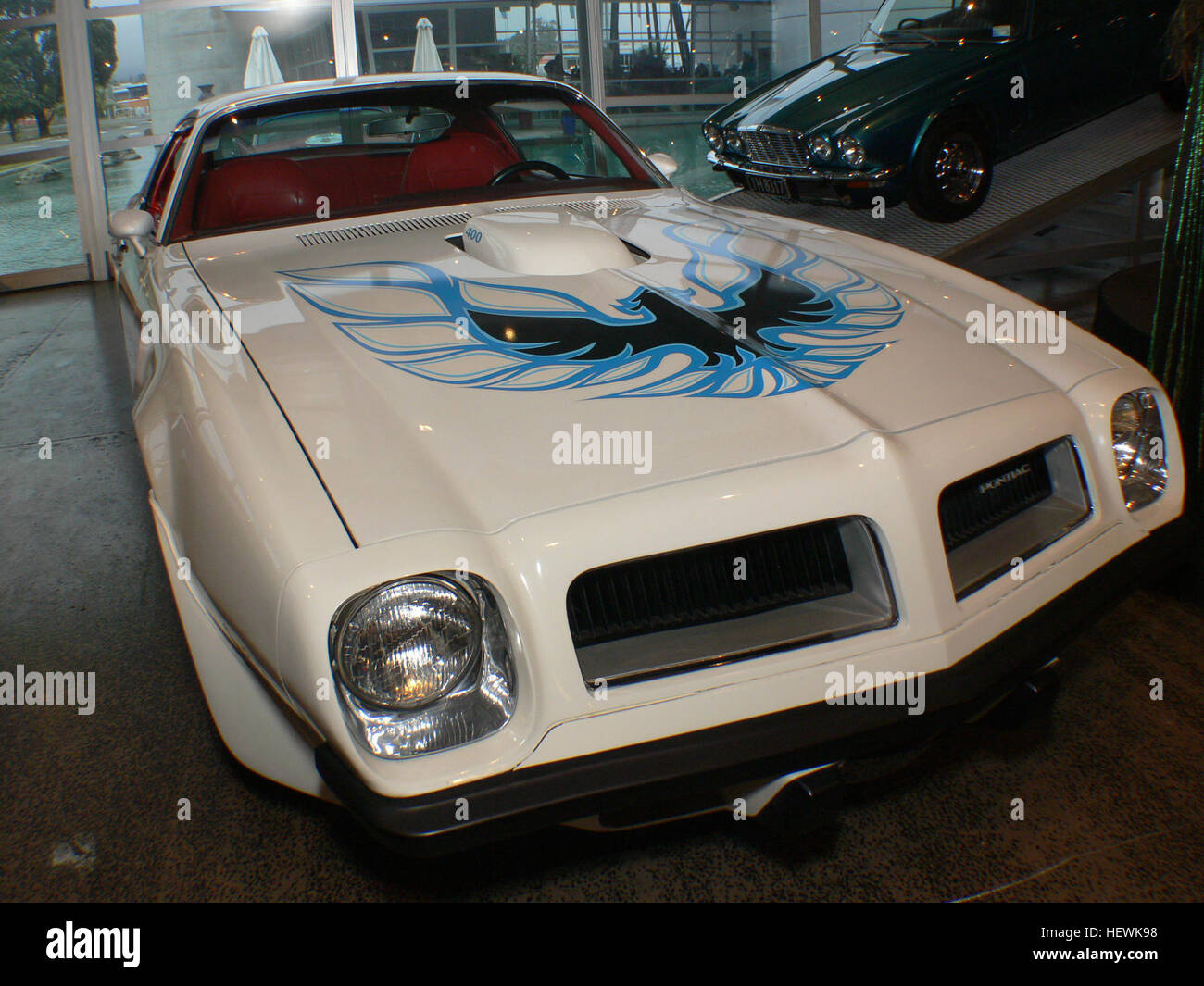 Photographie montrant une Pontiac TRANS Am Firebird 400 1974 classique au WOW & Classic Cars Museum de Nelson. Connu pour sa finition chromée emblématique et son statut rare, ce véhicule représente l'âge d'or des voitures musculaires américaines dans les salons de l'auto et les musées de l'automobile. Banque D'Images