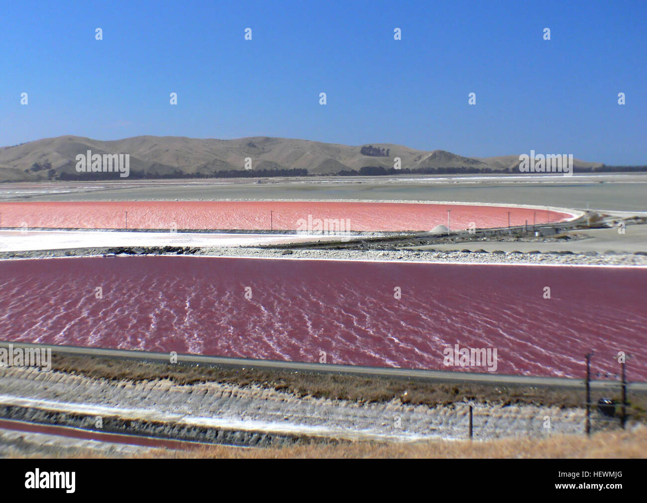 La Grassmere Salt Works à Marlborough, en Nouvelle-Zélande, produit du sel marin par évaporation solaire dans des bassins de cristallisation. Ce processus consiste à extraire le sel de l'eau de mer, avec l'ajout de minéraux comme le calcium et le magnésium pour produire du sel iodé, largement utilisé à des fins alimentaires et industrielles. Banque D'Images