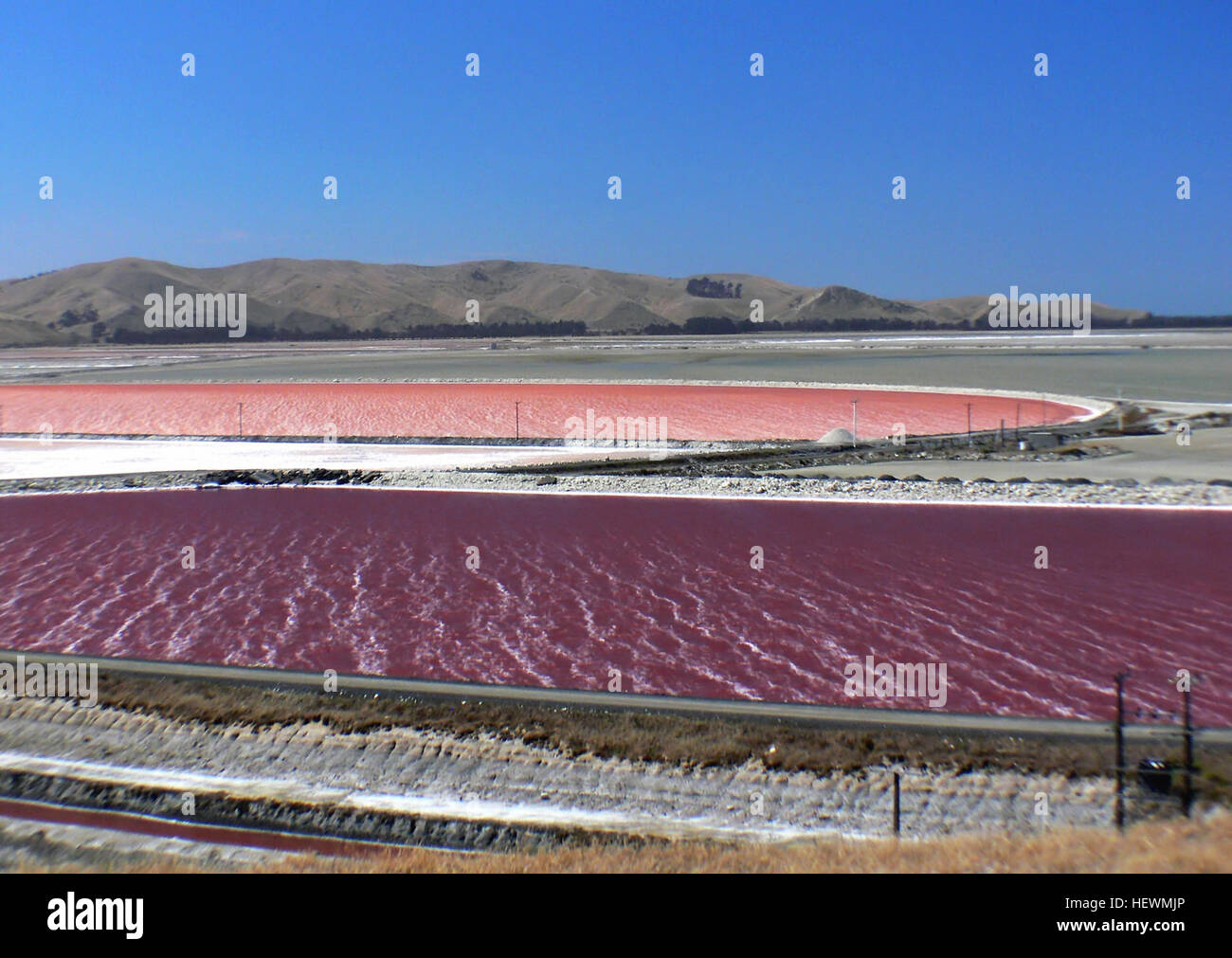 Lake Grassmere est un site clé de production de sel en Nouvelle-Zélande, où l'eau de mer est évaporée pour extraire le sel. Les étangs de cristallisation roses sont le résultat d'algues et d'une salinité élevée, produisant jusqu'à 70 000 tonnes de sel par an. Banque D'Images