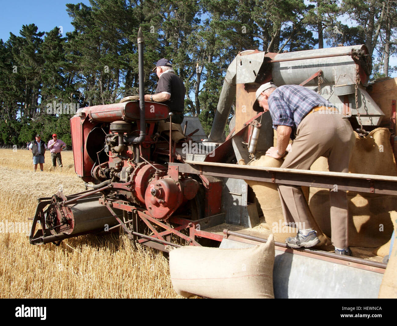 Ication (,),matériel agricole,Sony DSLR A300,agriculture,tracteurs,récolte Banque D'Images