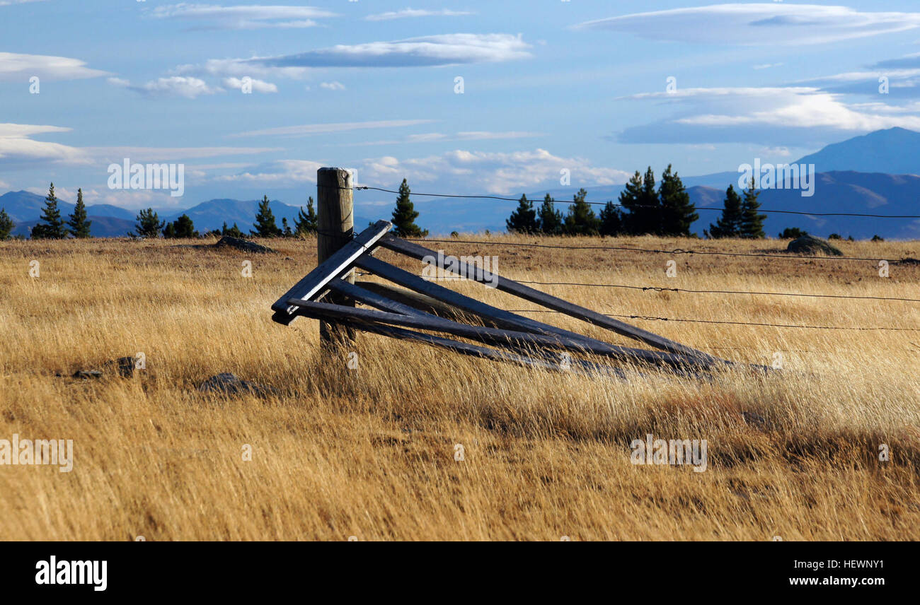 Les barrières de ferme, qu’elles soient en bois ou en métal, sont essentielles pour contenir le bétail et assurer un accès facile. L'image met l'accent sur une infrastructure agricole pratique conçue pour la durabilité, la fonctionnalité et la prise de décision soucieuse du budget dans les environnements ruraux. Banque D'Images