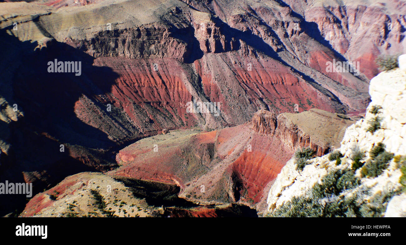 1.Le Grand Canyon varie de 4 à 18 kilomètres de large (6 - 28 km) et est 277 milles de long (445km) (c'est river). 2.En moyenne, il est de 5000 pieds de profondeur (1,524m ou plus d'un demi-kilomètre de profondeur) 3.L'ensemble du Grand Canyon est essentiellement le nord du bassin incliné : est 1200 pieds plus haut que la rive sud. 4.Le climat dans le canyon est semi-aride, et le sol en été peut chauffer jusqu'à 106 degrés Fahrenheit (40 degrés Celsius). 5.C'est le troisième plus grand canyon du monde (dépassé de Barranca de cabre dans le Nord du Mexique et les Hell's Canyon en Arizona). 6.autour de 88 espèces de mammifères, 250 - 300 espèces o Banque D'Images