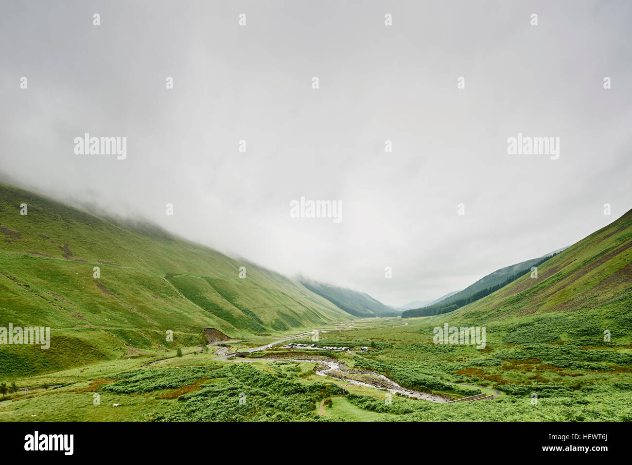 Queue de la jument grise Nature Reserve, Moffat, Ecosse Banque D'Images
