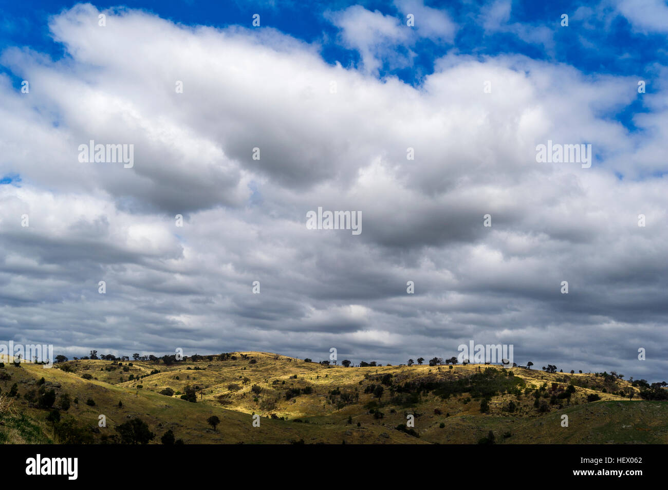 Des nuages de pluie au-dessus de terres agricoles vallonnées à sec un jour d'été. Banque D'Images