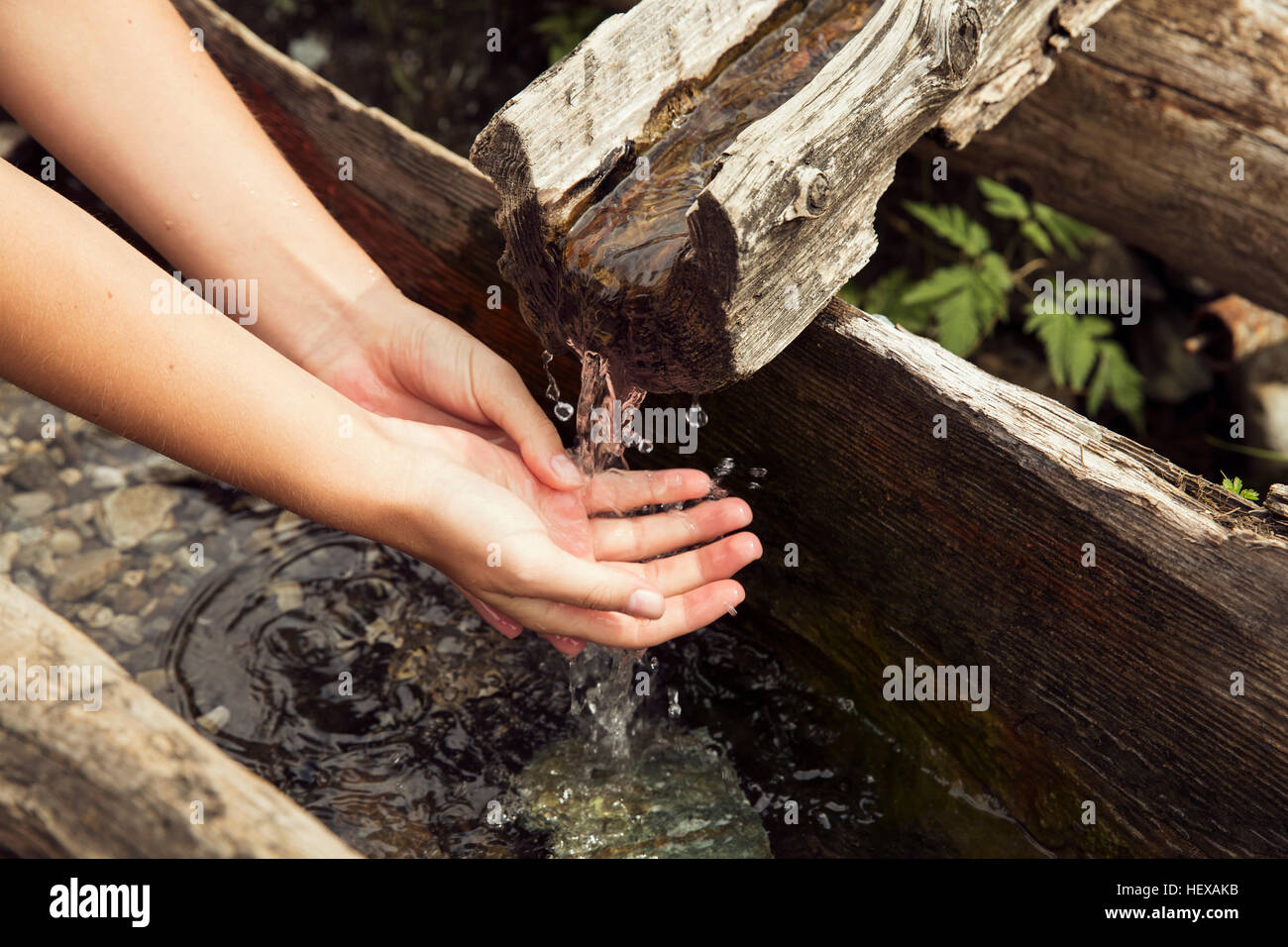 Femme mains sous l'eau courante fraîche creux, Sattelbergalm, Tyrol, Autriche Banque D'Images