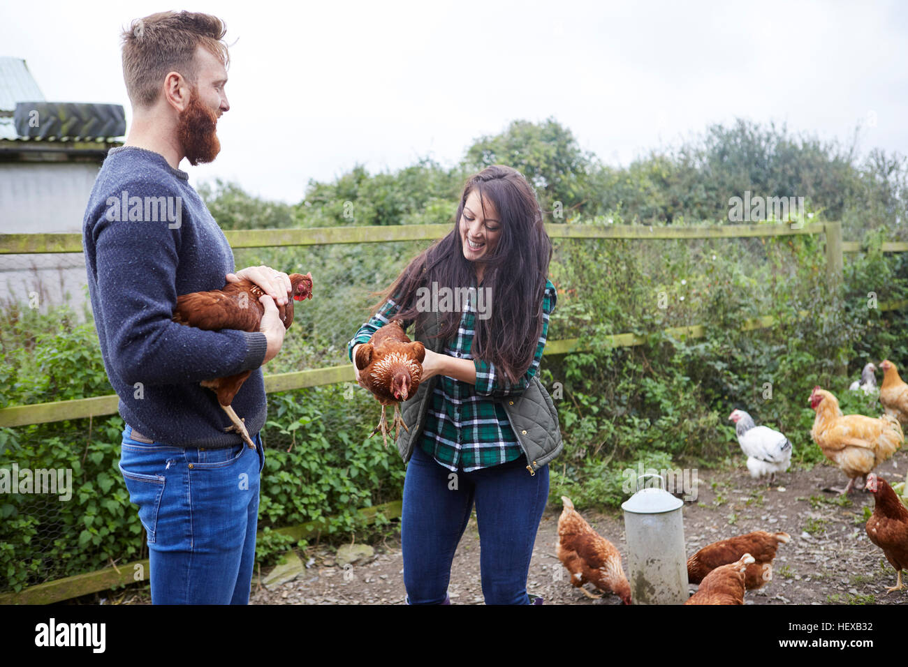 Jeune couple sur exploitation agricole de poulet Poulets Banque D'Images
