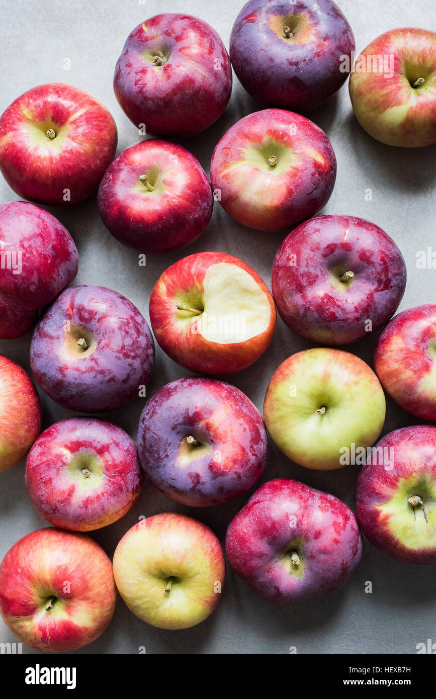 Variété de pommes Honeycrisp et Empire, overhead view Banque D'Images