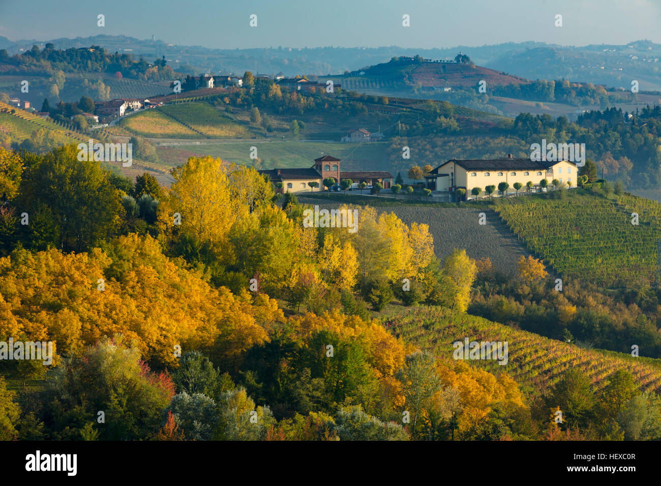 Couleur d'automne dans la vallée au-dessous de Monforte d'Alba, Piemonte, Italie Banque D'Images