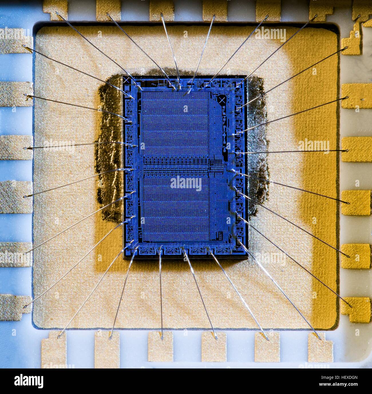 Puce de silicium. Banque D'Images