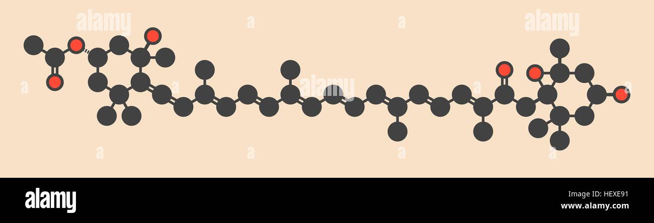 La fucoxanthine algues brunes, molécule de pigment, illustration de l'ordinateur. Les suppléments alimentaires de certains ingrédients, illustration de l'ordinateur. Les atomes sont représentés par des cercles de couleur : l'hydrogène (caché), carbone (gris), l'oxygène (rouge. Banque D'Images