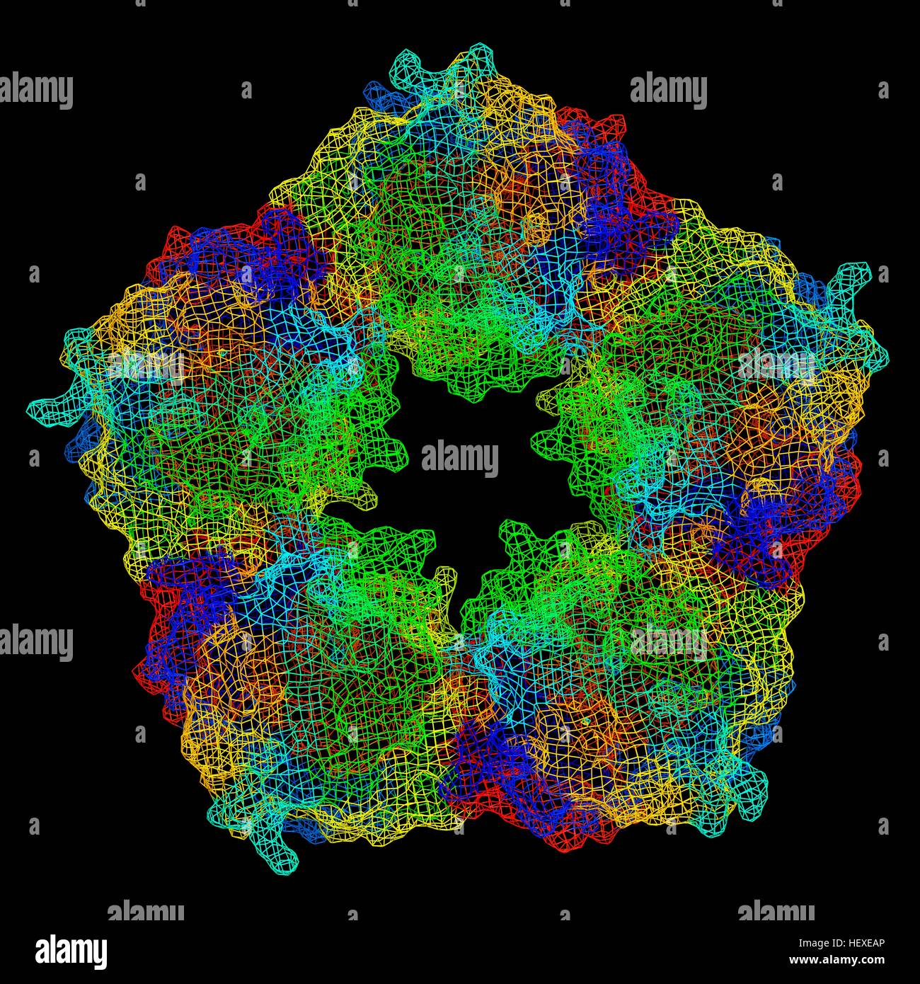 La protéine C-réactive,modèle moléculaire.La protéine est composé de cinq sous-unités (monomères) disposés en ring.La structure secondaire de la protéine est indiqué,avec des feuilles de bêta (flèches) hélices alpha (spirales) reliés par régions.La protéine C-réactive (CRP) protéine du plasma sanguin est produit par le foie.C'est une protéine de phase aiguë, dont les taux augmentent en réponse à l'inflammation.Il aide la liaison des protéines du complément d'affaires ou les cellules endommagées,une réponse immunologique qui détruit les cellules cibles.Les taux sanguins élevés de CRP sont associés un risque accru de maladie cardiaque Le diabète. Banque D'Images