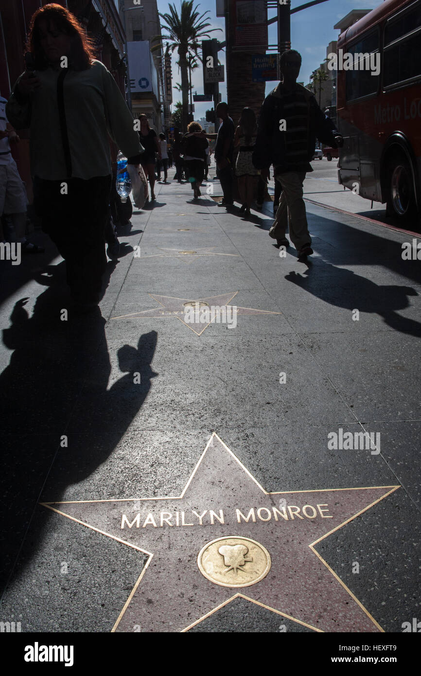 Star le Walk of Fame, Hollywood Boulevard, Los Angeles, Californie, États-Unis d'Amérique, Amérique du Nord Banque D'Images