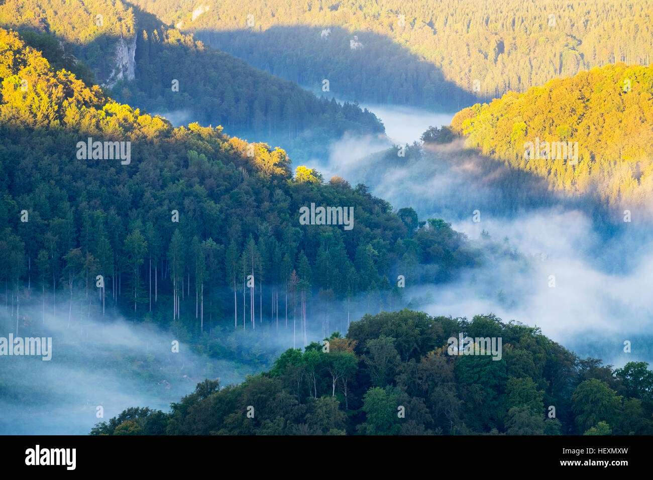 Allemagne, Bade-Wurtemberg, brouillard du matin au-dessus de la rivière du Danube près de Beuron Banque D'Images