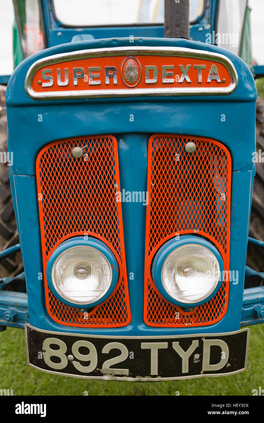 L'avant d'un Dexta Supa vintage tracteur à un spectacle. Banque D'Images