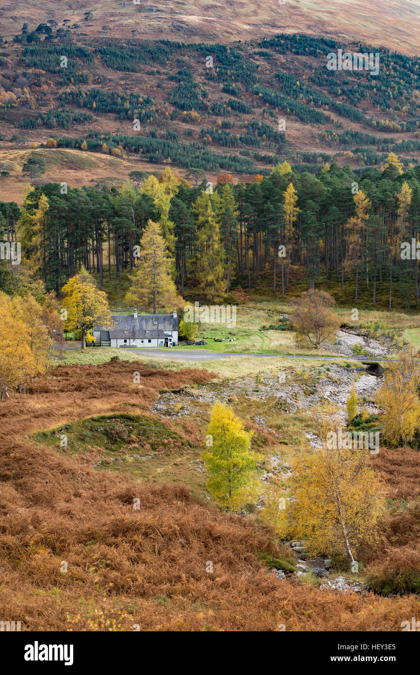 Une cascade s'exécute par un chalet à Glen Lyon, Perthshire, entouré par les arbres d'automne. Banque D'Images