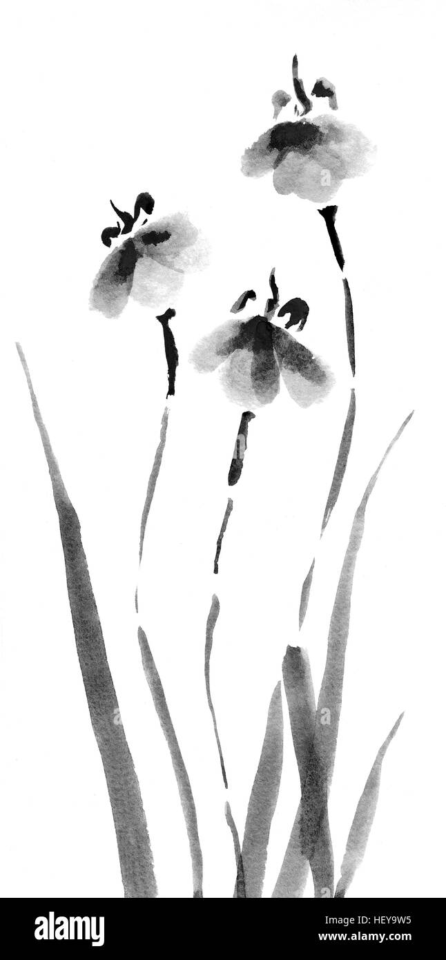 Cute floral background. Les iris Aquarelle chinoise Banque D'Images