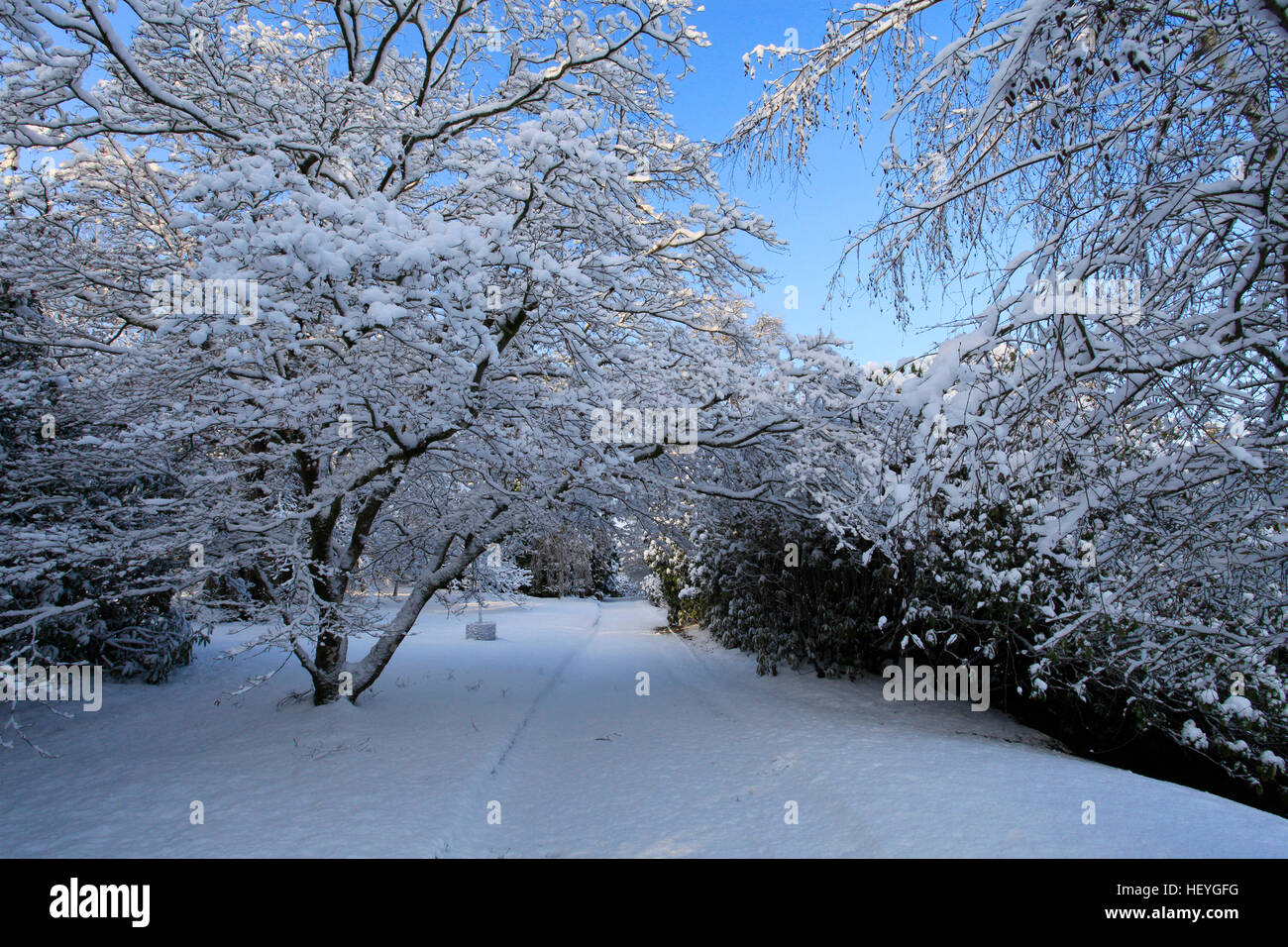 La neige a couvert Sheffield Park Gardens, East Sussex, England, UK Banque D'Images