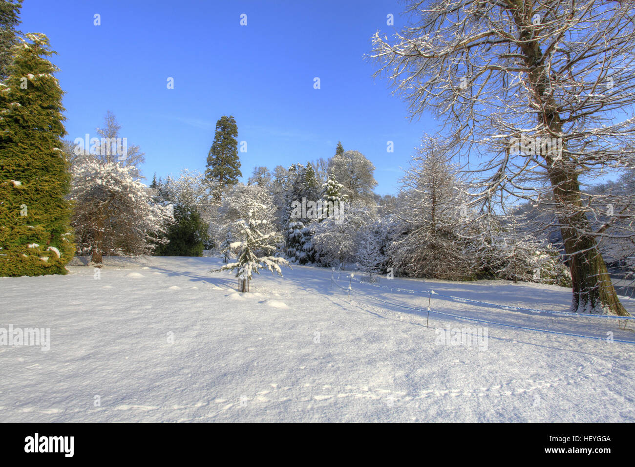 La neige a couvert Sheffield Park Gardens, East Sussex, England, UK Banque D'Images