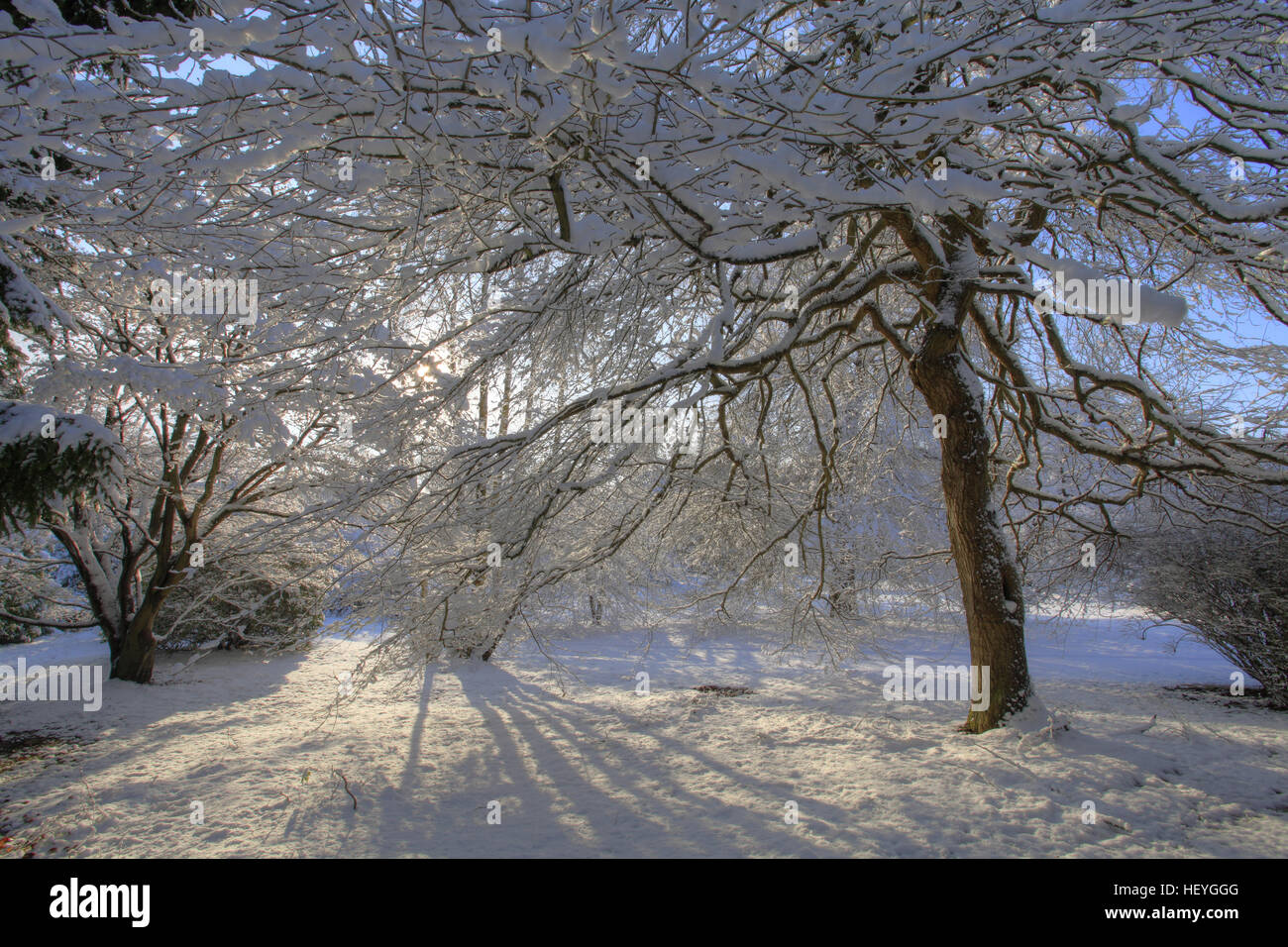 La neige a couvert Sheffield Park Gardens, East Sussex, England, UK Banque D'Images