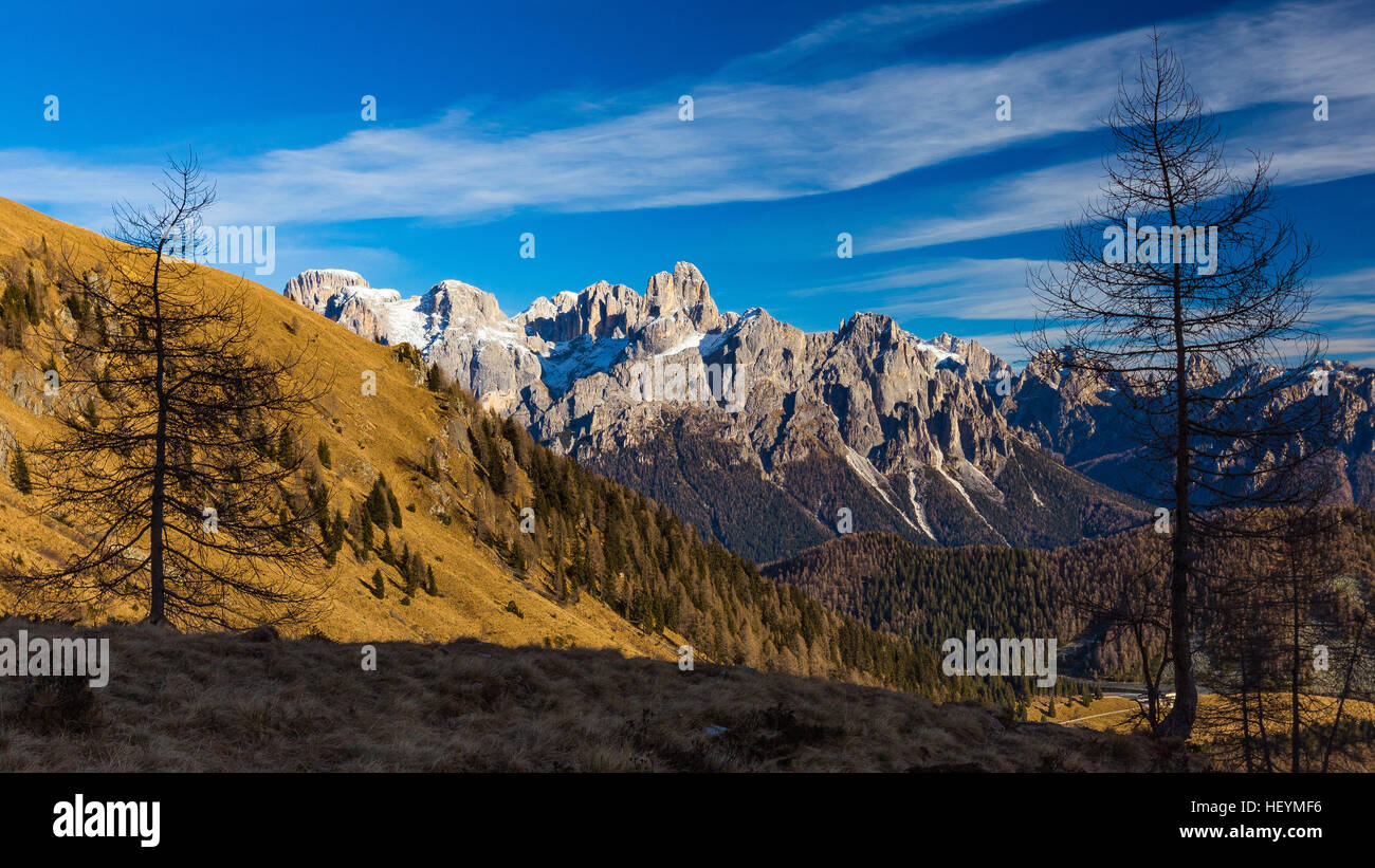 Les Pale di San Martino sommets de montagnes. Dans Grugola mélèzes valley près de Calaita. Les Dolomites. Le Trentin. Alpes italiennes. L'Europe. Banque D'Images