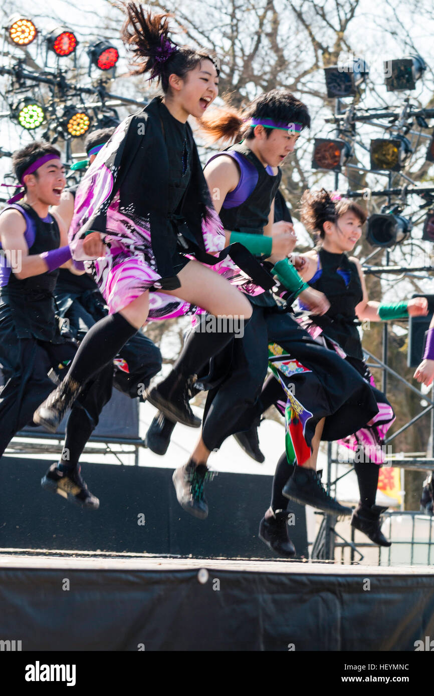 Yosakoi matsuri, festival japonais. L'équipe de danse danse sur scène, hommes et femmes chantant et sautant en l'air. Extérieur jour. Banque D'Images