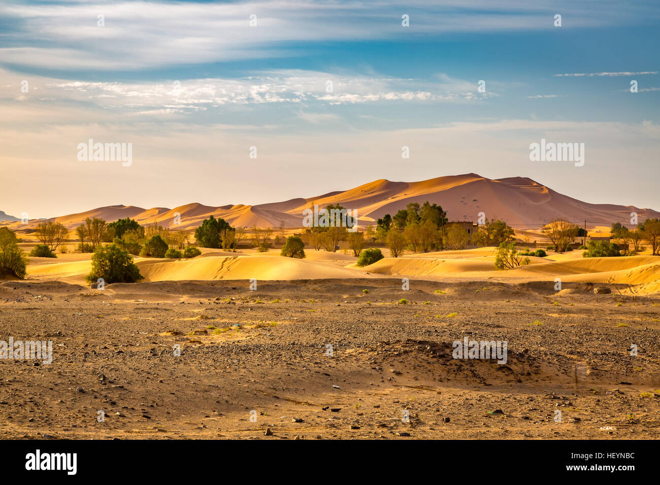 Le bord du désert du Sahara, dans la partie sud-ouest du Maroc Banque D'Images