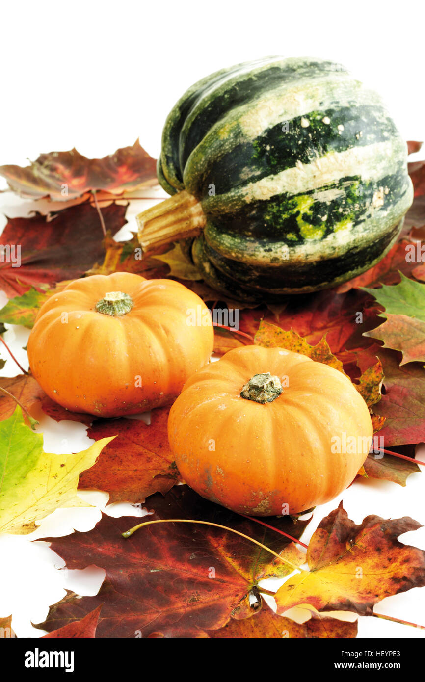 Squash colorés portant sur les feuilles d'automne Banque D'Images